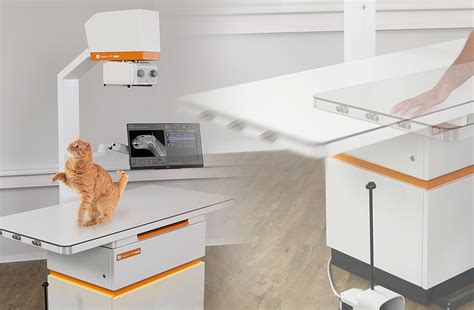The New Vet X Ray System