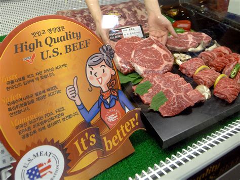 South Korean Protests Over Us Beef Photos The Big Picture