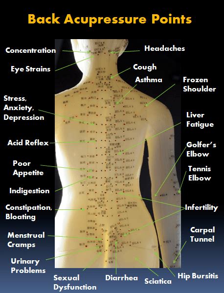 All Acupressure Charts And Points Acupressure Treatment Massage