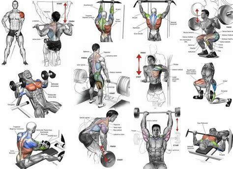 Pin By Speed11 On Gym Nation Best Chest Workout Chest Workouts