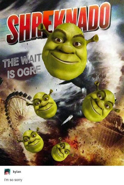 22 Shrek Memes For When The Years Dont Stop Coming