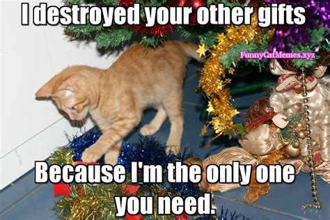 The Only Thing You Need On Christmas Is Your Cat Christmas Meme