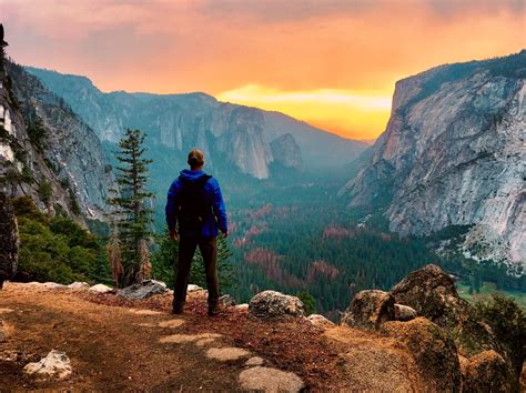 7 Best State Parks in California | Drivin' & Vibin'