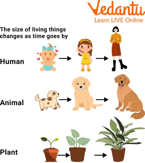 Interesting Facts About Living Things Learn Important Terms And Concepts