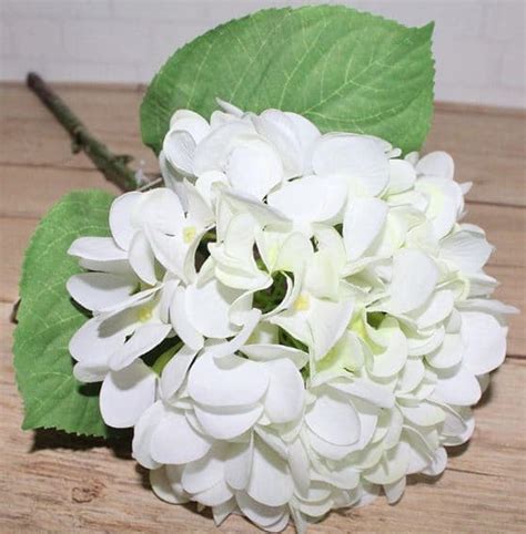 hydrangea 5 stem real touch beautiful budget bouquets