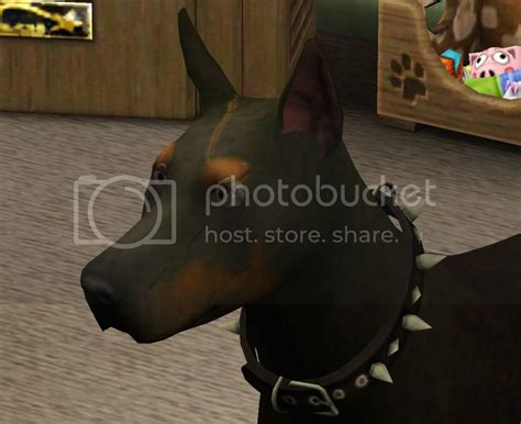 Mod The Sims The Sims 3 Pets Graphical Glitches And Fur Issues