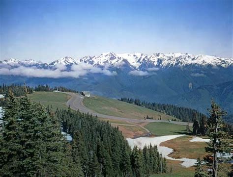 Olympic National Park And Its Surroundingamerica