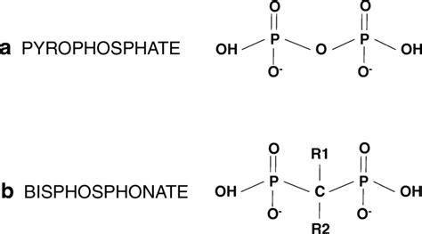 Pyrophosphate