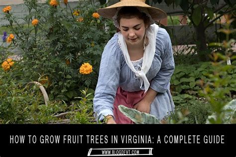 how to grow fruit trees in virginia a complete guide