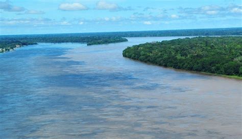 10 Curiosidades Sobre El Amazonas El Río De Los Excesos Iagua