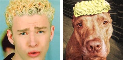 Twitter Account Matches People To Their Dog Look Alikes