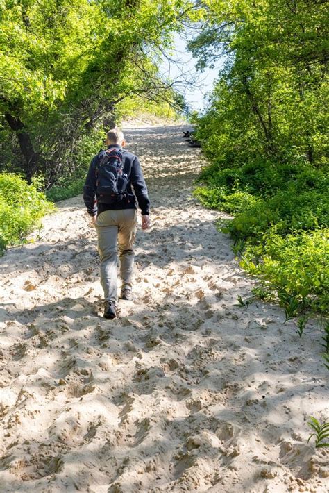 How To Hike The 3 Dune Challenge Indiana Dunes State Park Earth