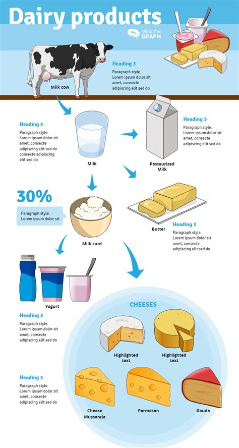 Dairy Products Infographic Templates