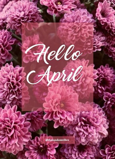 50 Hello April Images Pictures Quotes And Pics 2024 The Random