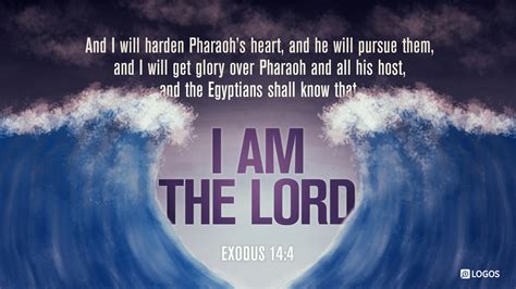 Exodus 144