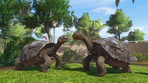 Zoo Tycoon Wallpapers Wallpaper Cave