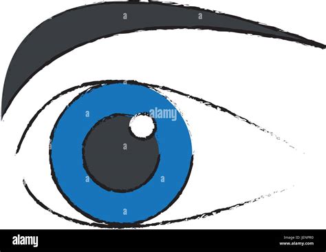 Human Eye Optical Eyeball Symbol Stock Vector Image And Art Alamy