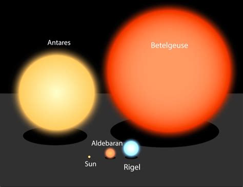 What Will Happen When Betelgeuse Goes Supernova Ruth Ng