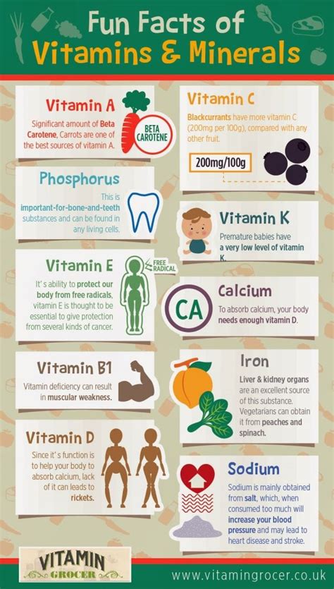 Fun Facts Of Vitamin And Mineral Fun Facts Vitamins And Minerals