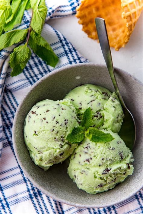 The Best Mint Chocolate Chip Ice Cream The Flavor Bender