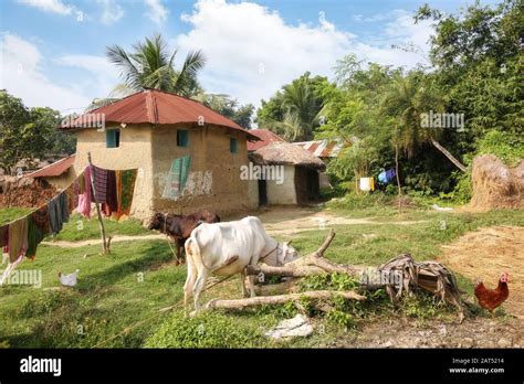 Indian Village Scene Hi Res Stock Photography And Images Alamy