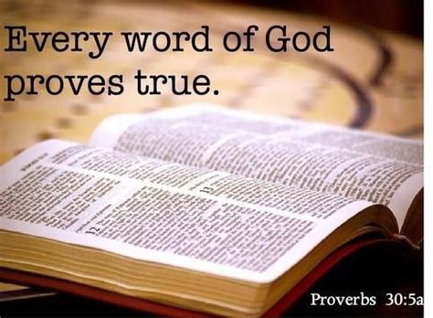 Pin By Tia Lissie On Words To Live By Word Of God Daily Bible