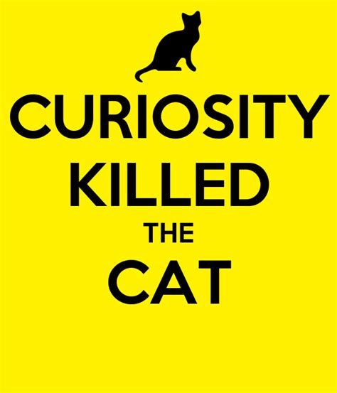 We often use this expression when others ask prying that last part really changes the meaning. CURIOSITY KILLED THE CAT Poster | idiom | Keep Calm-o-Matic