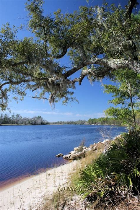 Ochlockonee River State Park Florida State Parks State Parks Places