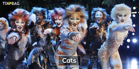Andrew lloyd webber incorporated everything from electro and jazz to pop and classical music, his masterpiece memory becoming one of the most famous broadway songs from the 1980s. Buy Cats Tickets | Cats musical, Musicals, Jellicle cats