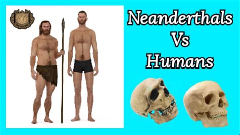 The fields of computer science, artificial intelligence, and machine learning are aimed at breaking. 1v1 Neanderthals Vs Human Comparison - Saiful Chemistry ...