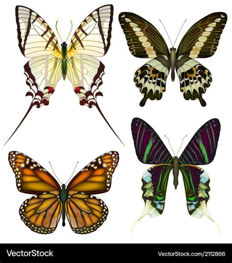 Set Of Isolated Butterflies Royalty Free Vector Image