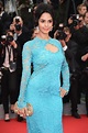 Mallika Sherawat at Cannes: Anyone Else Wondering Why She Was There ...