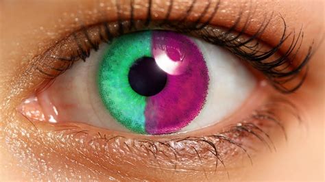 All Eyes Colors In The World