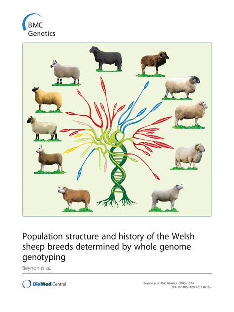 Pdf Population Structure And History Of The Welsh Sheep Breeds