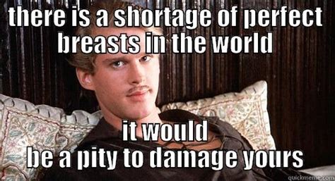 Shortage Of Perfect Breasts Quickmeme