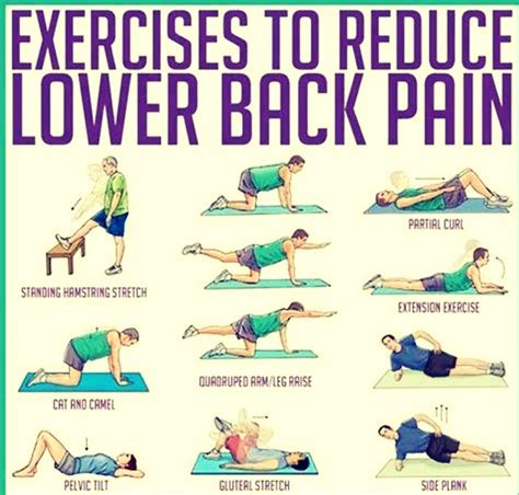 Workouts To Help Reduce Lower Back Pain Musely