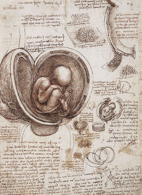 Leonardo Da Vinci Master Of Art And Science