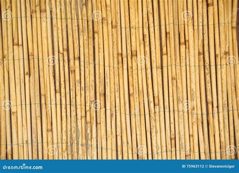 Dry Reed Straws Fence As Texture Or Background Stock Photo Image Of