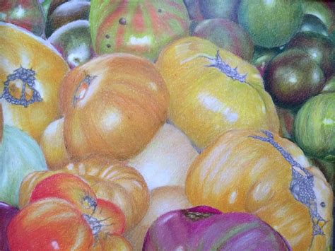 prismacolor on strathmore drawing paper by sandy banker color pencil art colored pencil