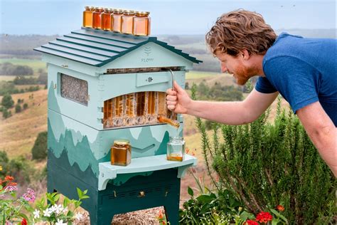 Flow Hive Takes The Hassle Out Of Honey Harvesting