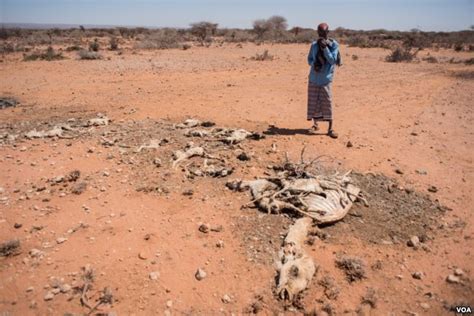 Horn Of Africa Faces Unprecedented Drought Guban Media