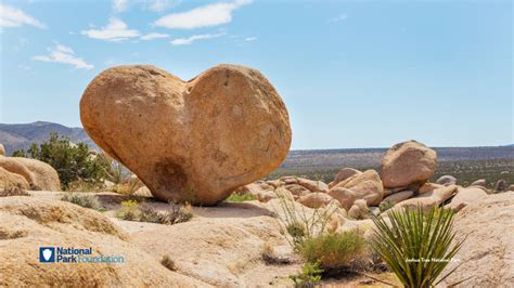 Heart Shaped Granite Boulder Sitting In The Desert At Joshua Tree