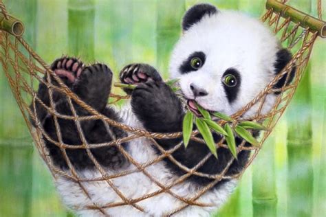 Panda Background ·① Download Free Stunning Full Hd Wallpapers For
