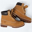 Mens Timberland 6 Inch Classic Boot | Journeys