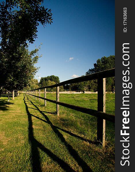 1 Fence Dividing Orchard Meadow Free Stock Photos StockFreeImages