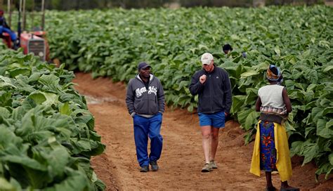 Zimbabwes White Farmers Want Better Compensation From Mnangagwa