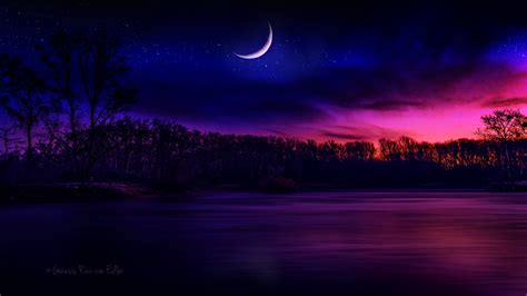 Body Of Water Near Tree Under Crescent Moon Digital Wallpaper