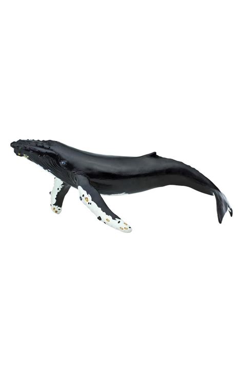 Safari Ltd Humpback Whale Figurine Nordstrom