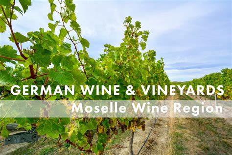 Moselle Wine Region — German Wine And Vineyards Travel1000places