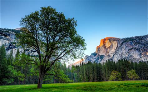 🔥 43 Mac Os Yosemite Wallpapers Wallpapersafari